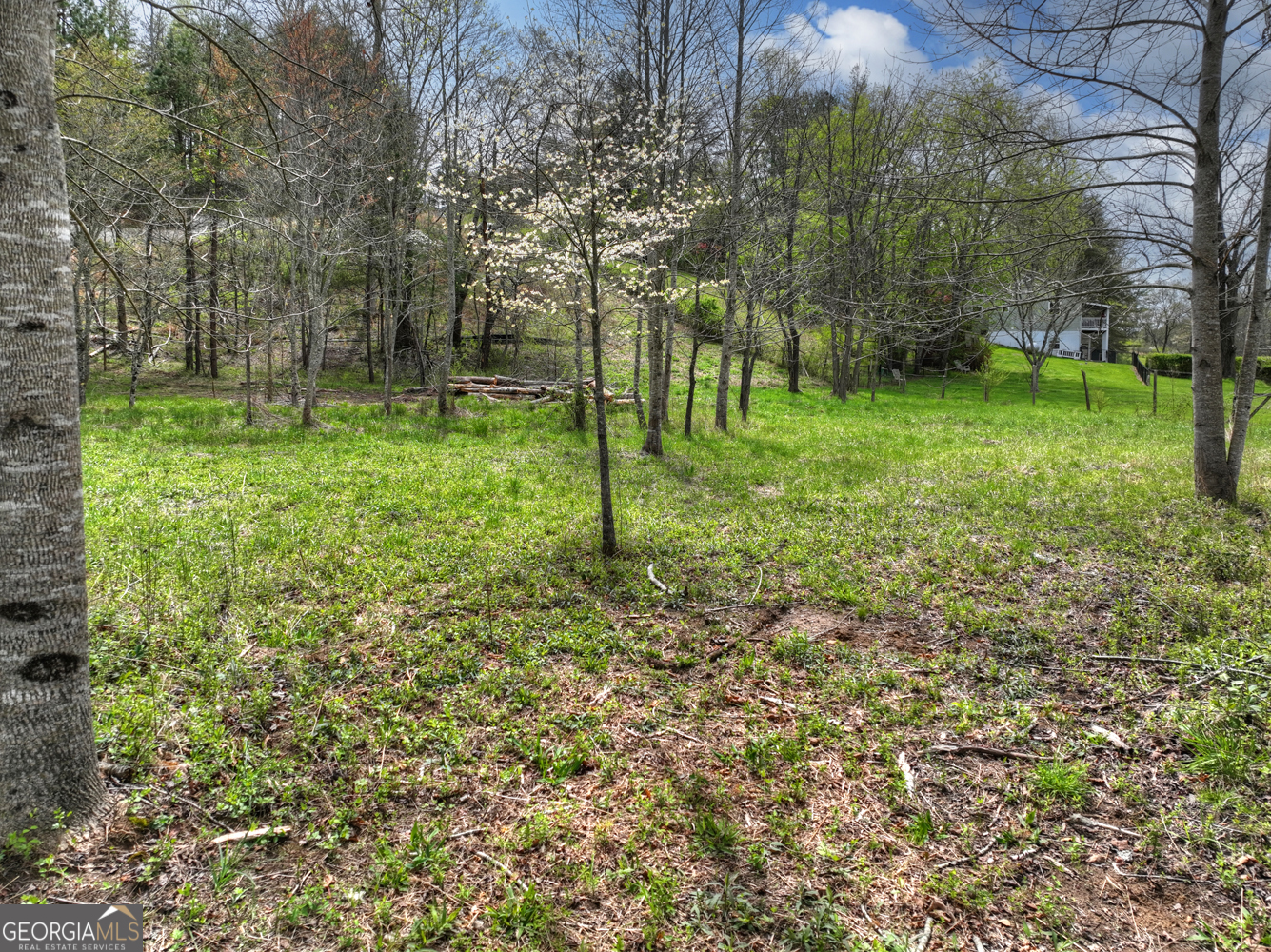 139 Cedar Lane Blairsville GA 30512