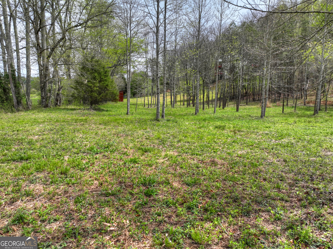 139 Cedar Lane Blairsville GA 30512