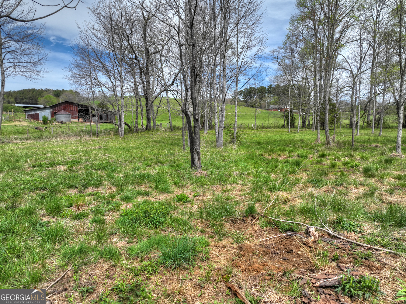 139 Cedar Lane Blairsville GA 30512