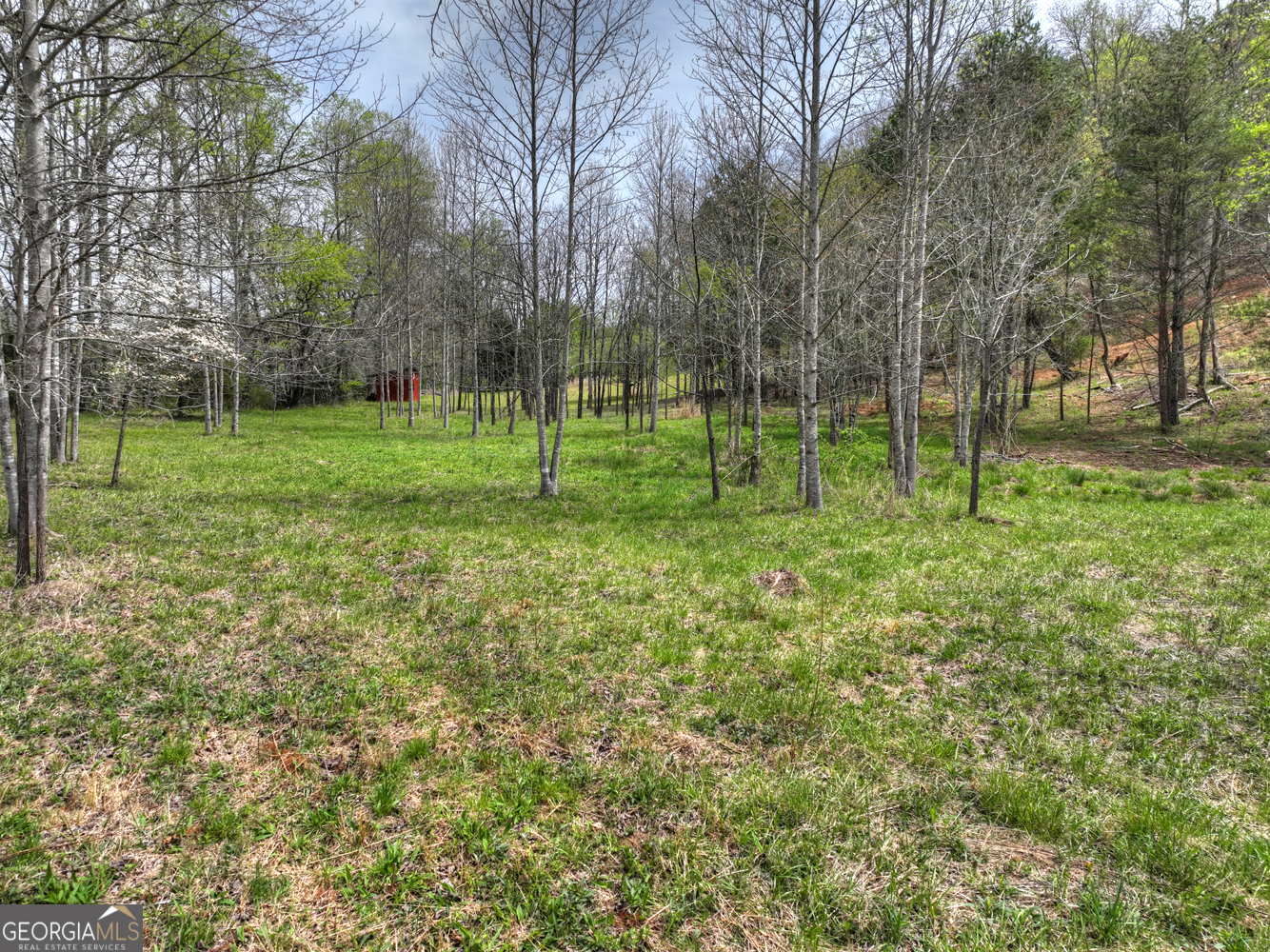 139 Cedar Lane Blairsville GA 30512