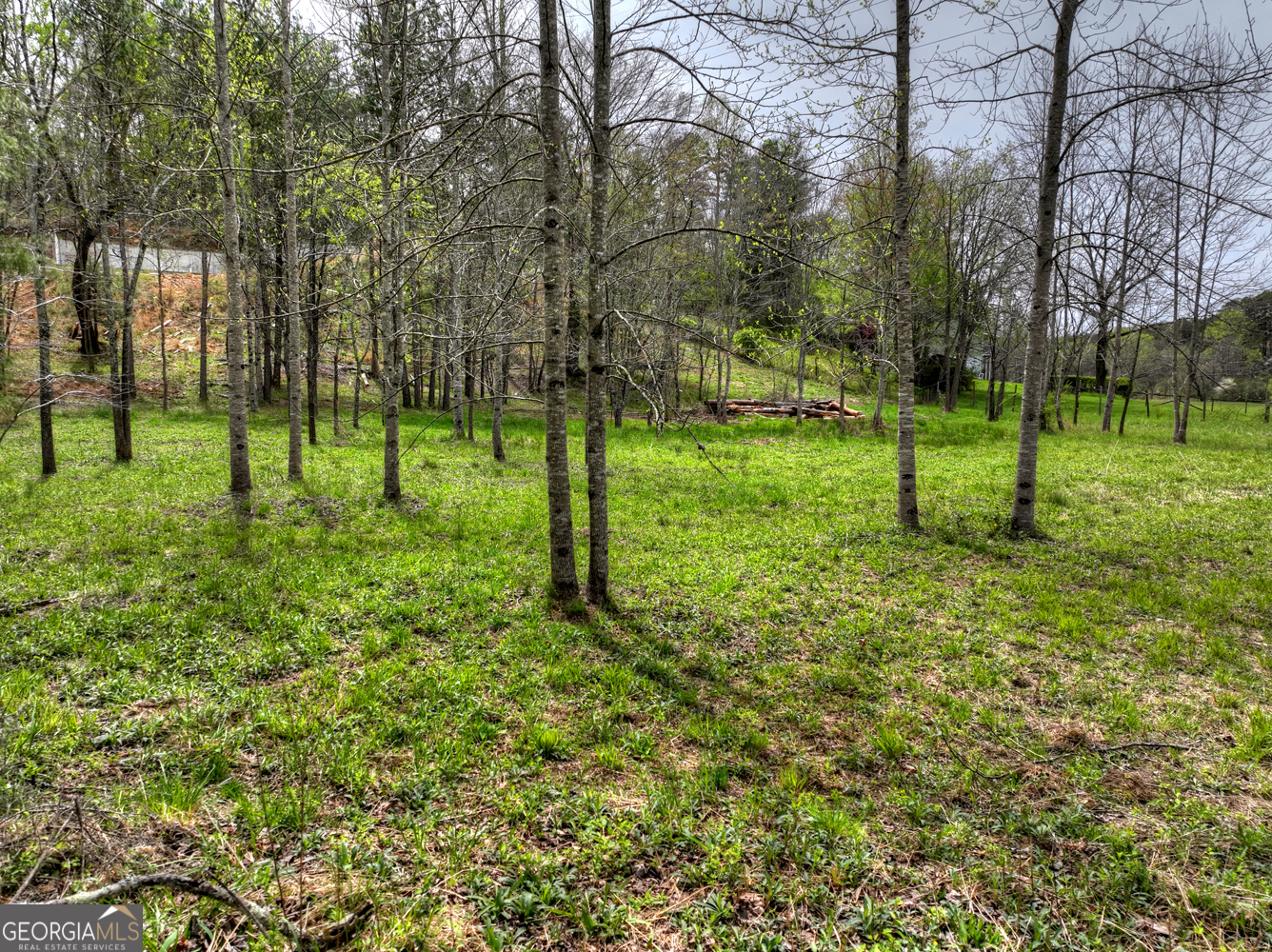 139 Cedar Lane Blairsville GA 30512