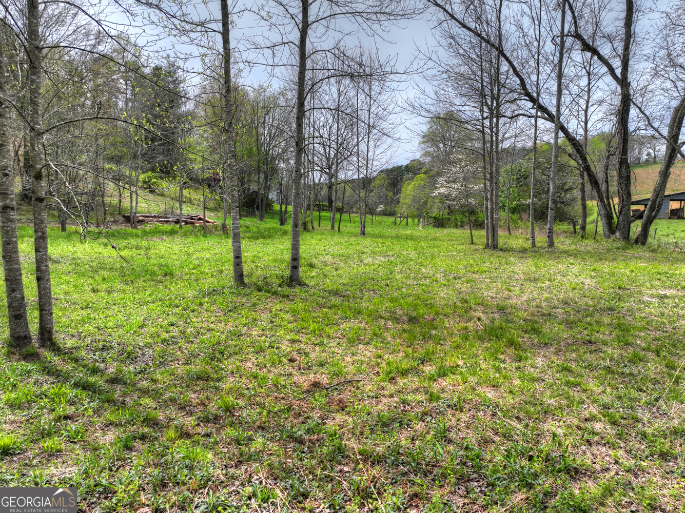 139 Cedar Lane Blairsville GA 30512