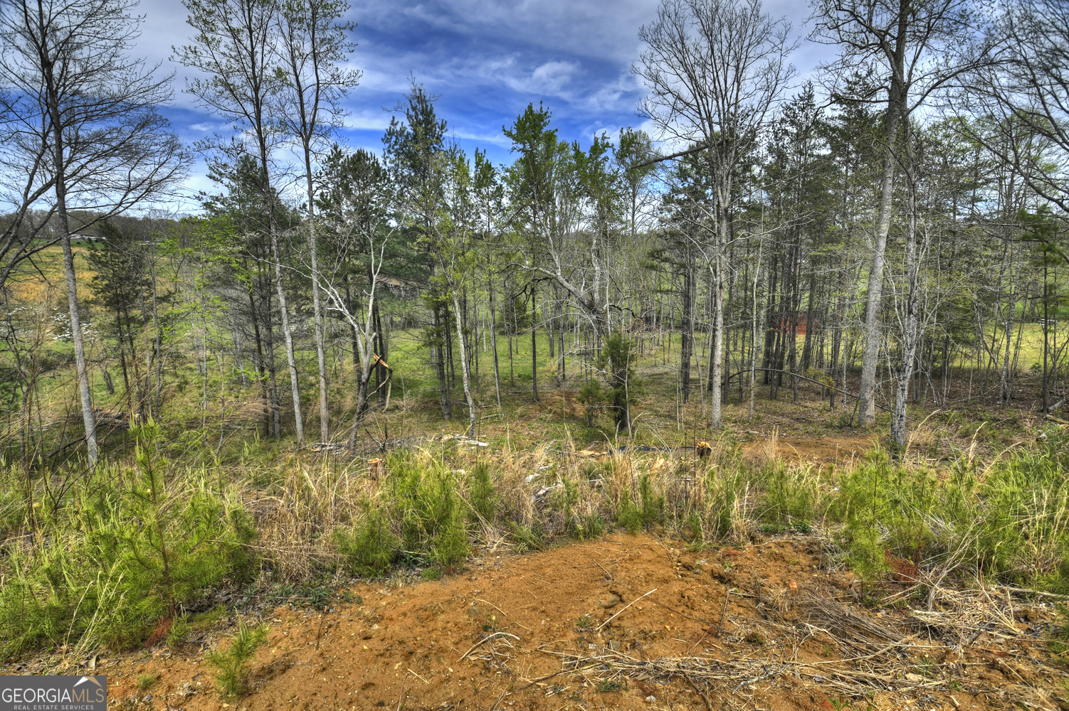 139 Cedar Lane Blairsville GA 30512