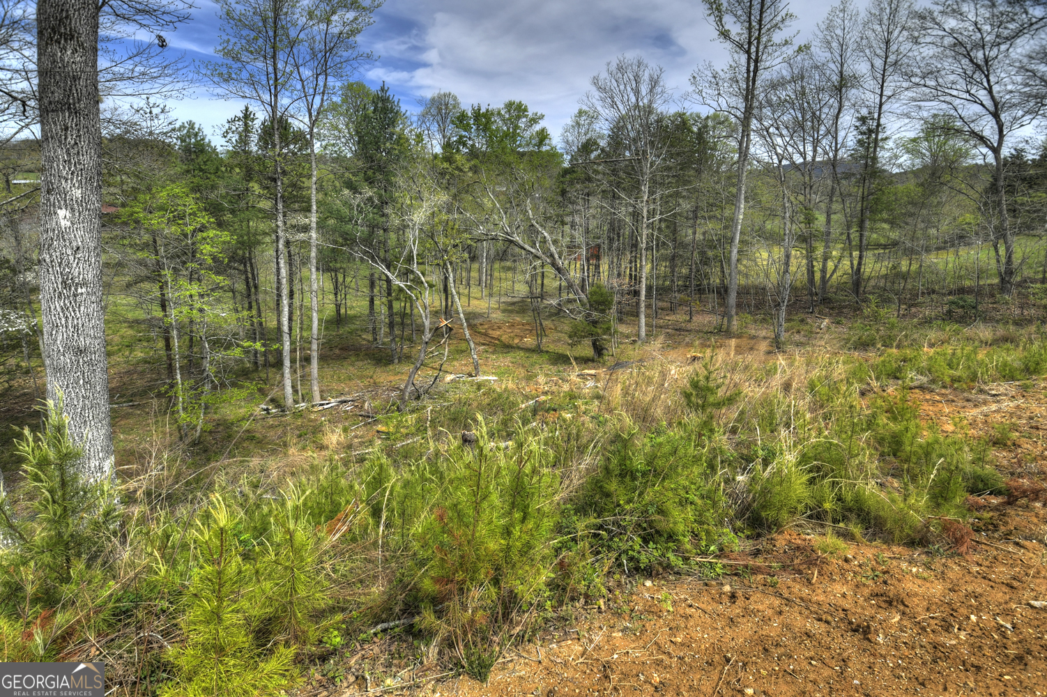 139 Cedar Lane Blairsville GA 30512