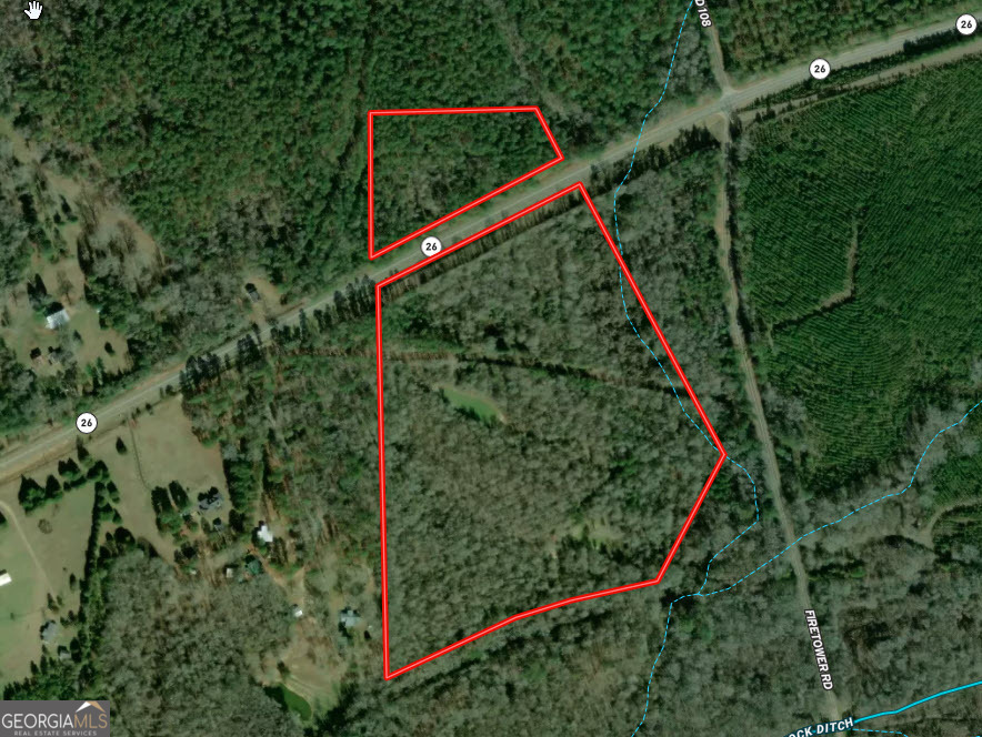 31+/- Ac Highway 26 Buena Vista GA 31803
