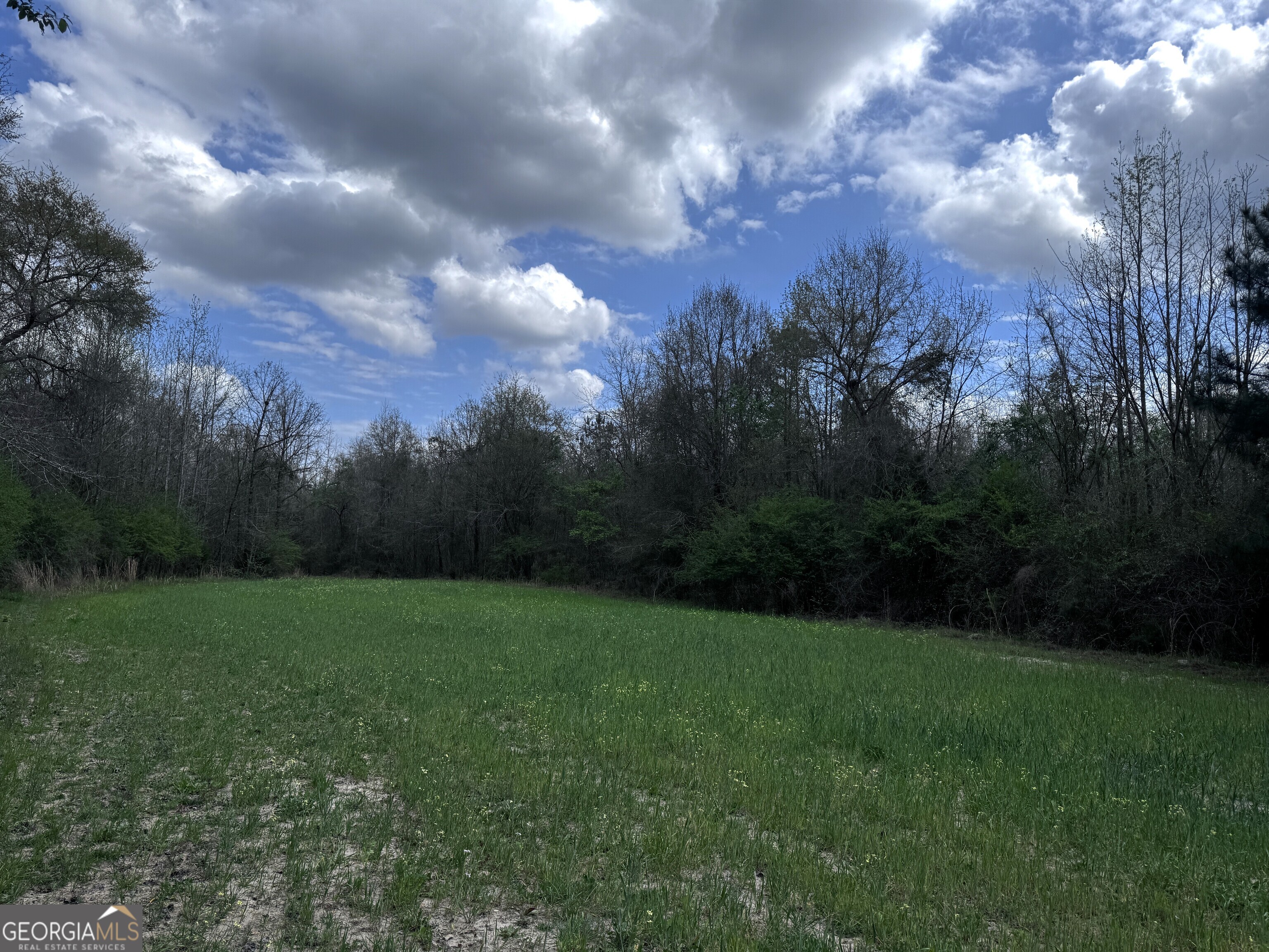 31+/- Ac Highway 26 Buena Vista GA 31803