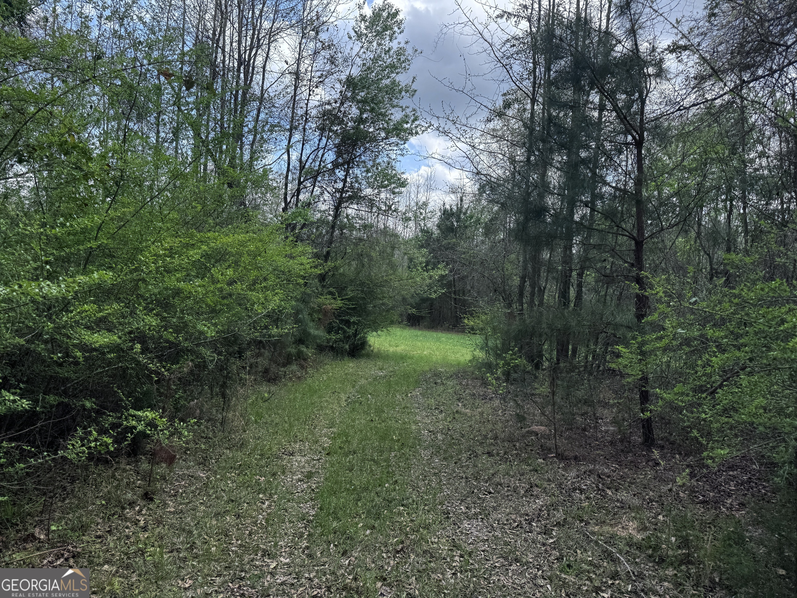 31+/- Ac Highway 26 Buena Vista GA 31803