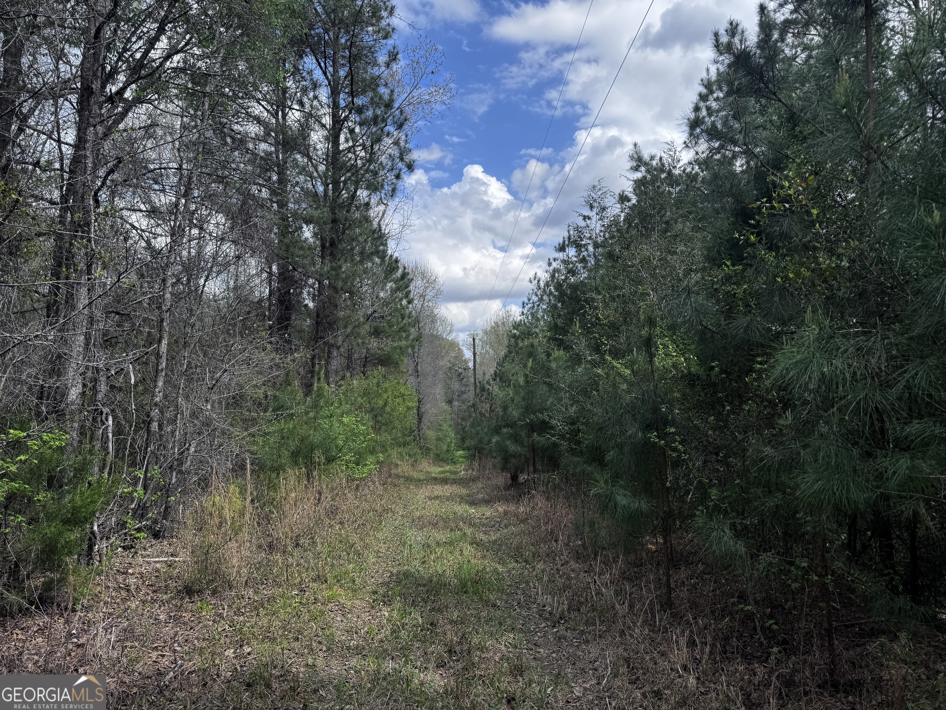 31+/- Ac Highway 26 Buena Vista GA 31803