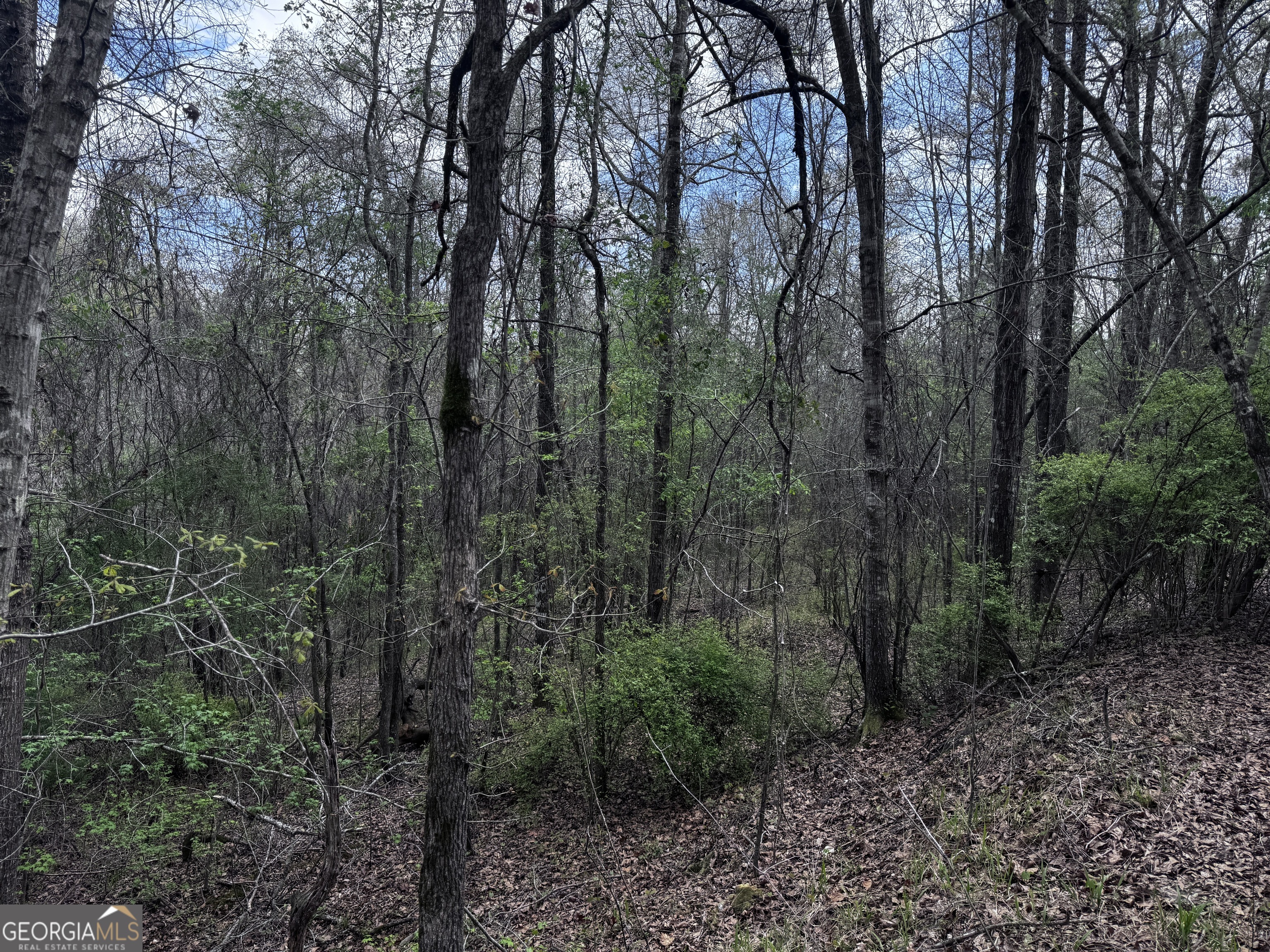31+/- Ac Highway 26 Buena Vista GA 31803