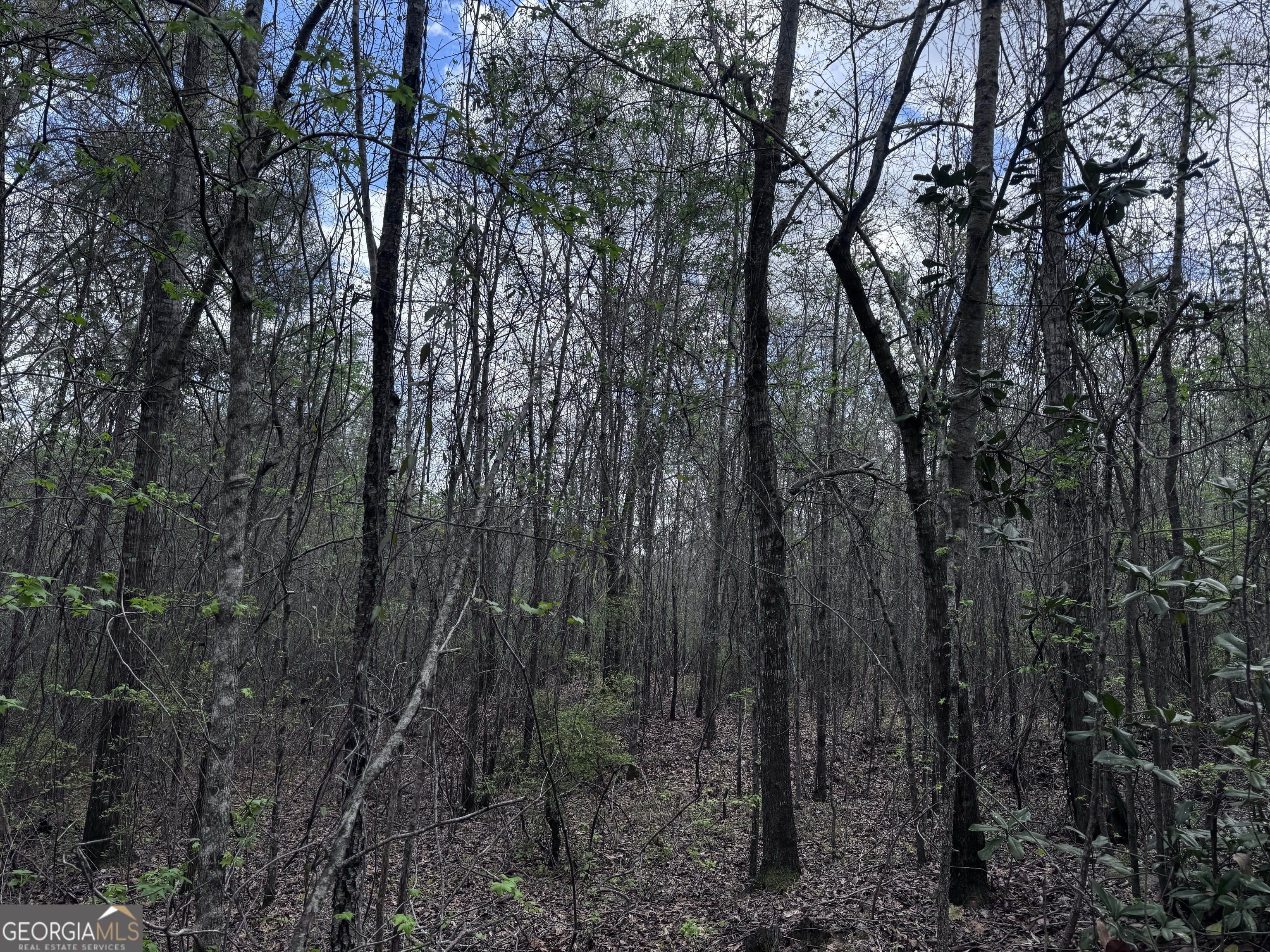 31+/- Ac Highway 26 Buena Vista GA 31803