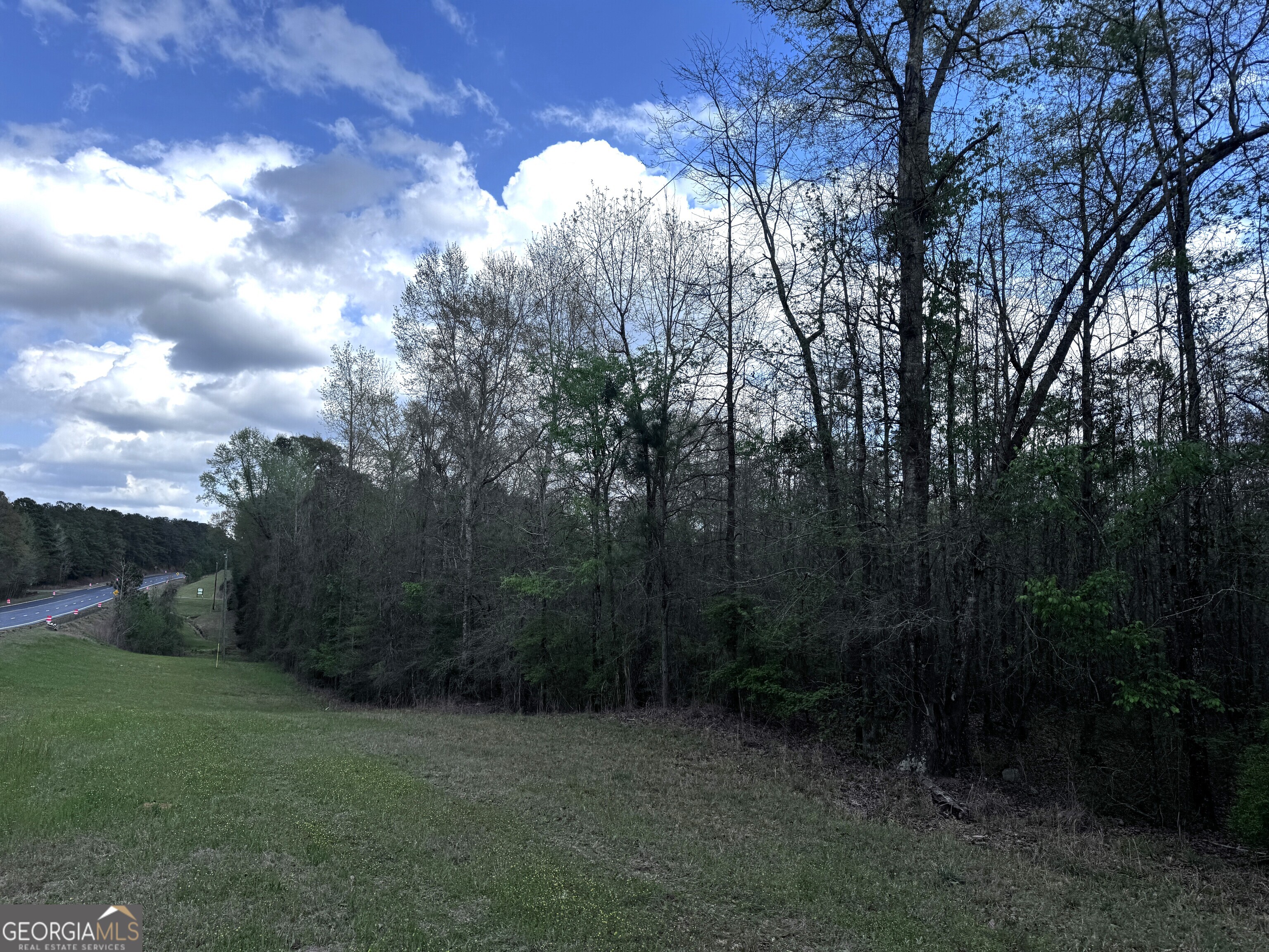 31+/- Ac Highway 26 Buena Vista GA 31803