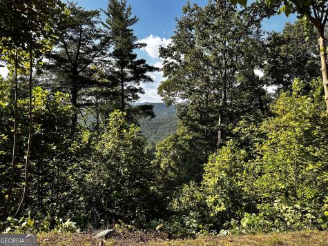 Lot J-12 Winterberry Trail Clayton GA 30525