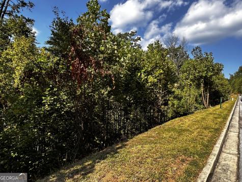Lot J-12 Winterberry Trail Clayton GA 30525
