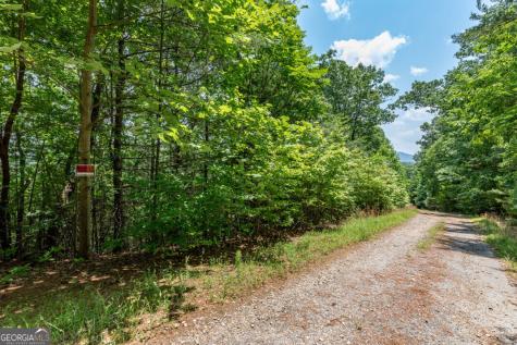 Lot 6 Wild Turkey Young Harris GA 30582