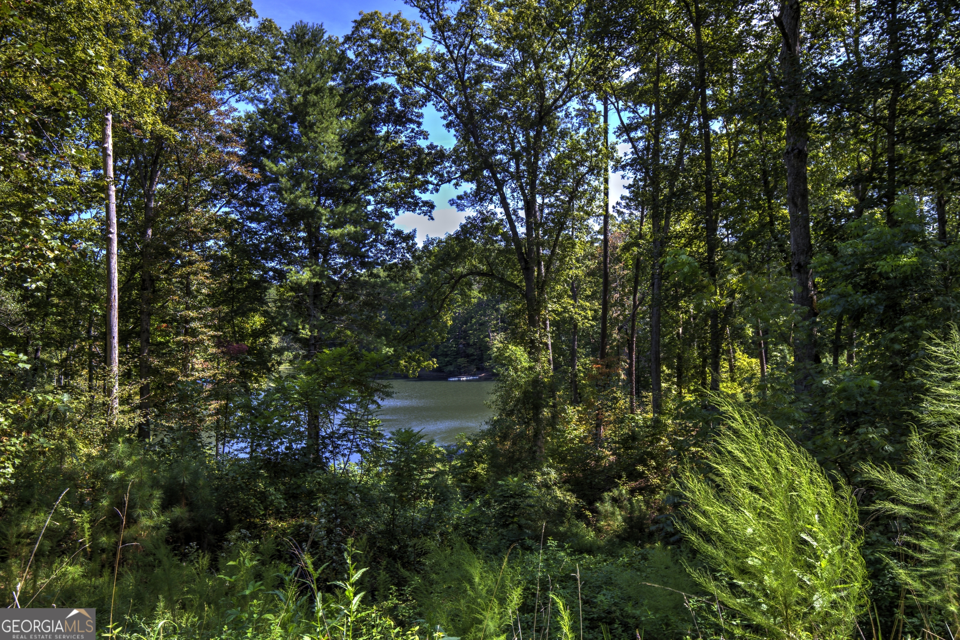 127 Hillside Lane Ellijay GA 30540