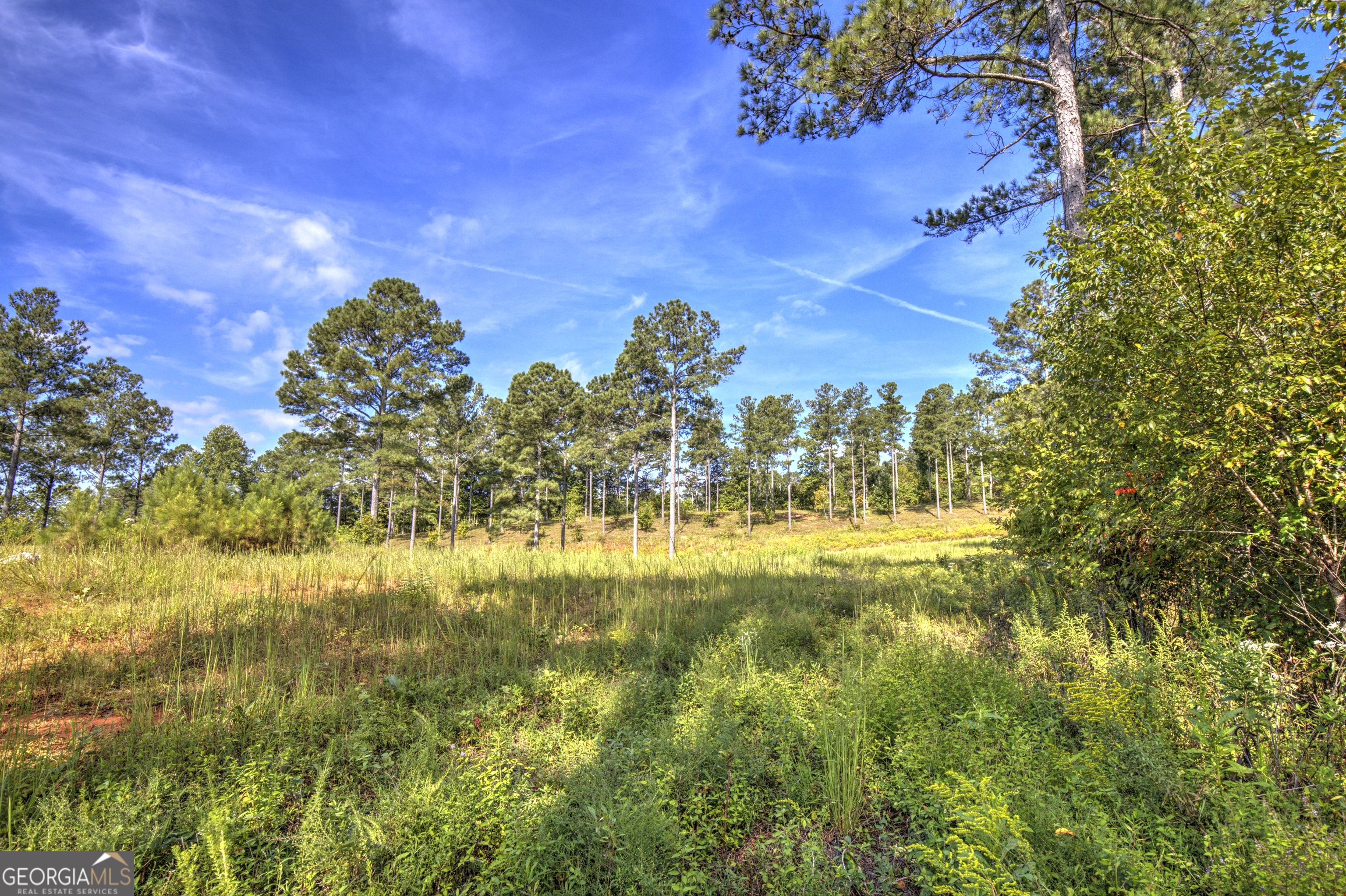 127 Hillside Lane Ellijay GA 30540