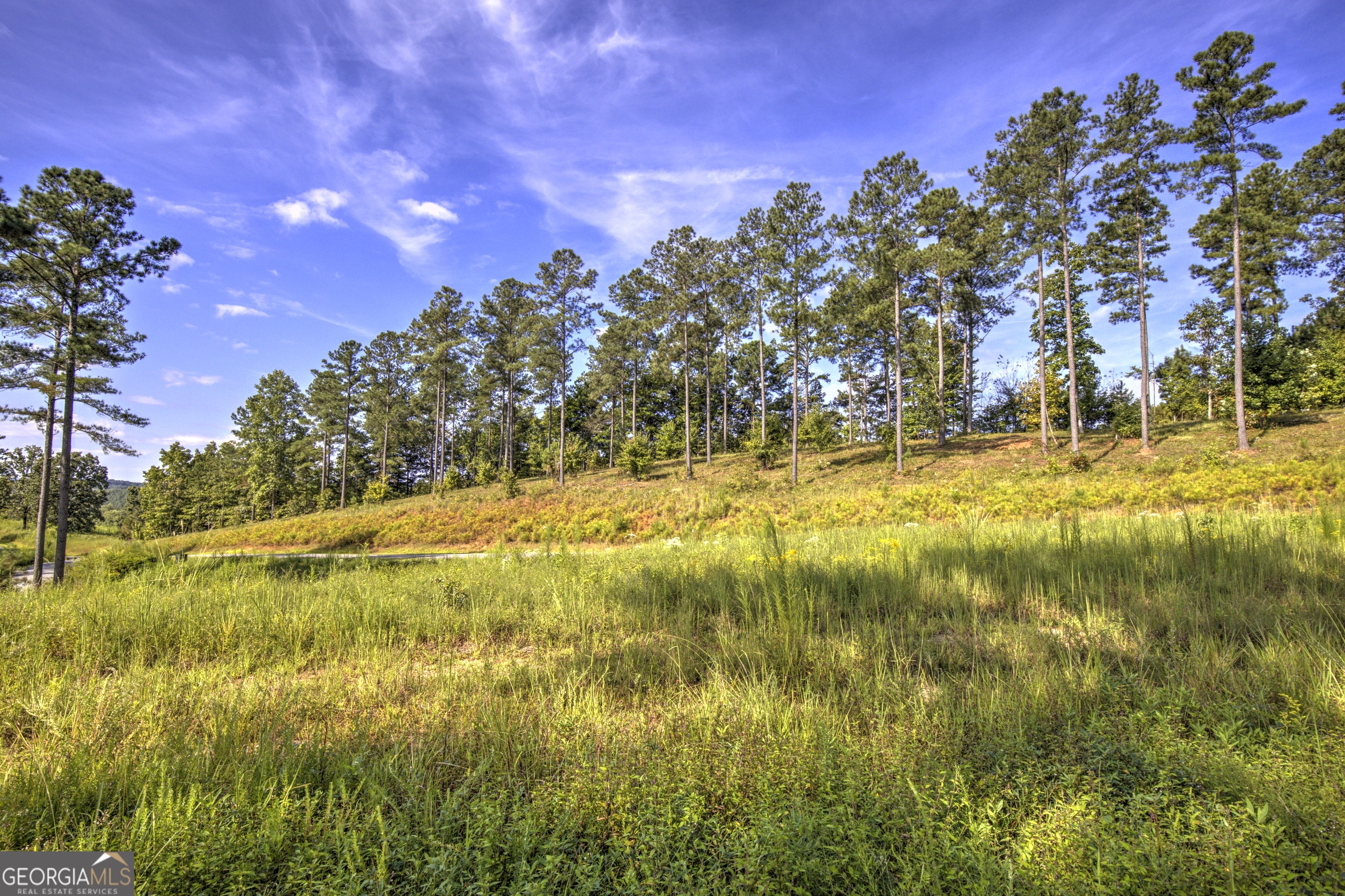 127 Hillside Lane Ellijay GA 30540
