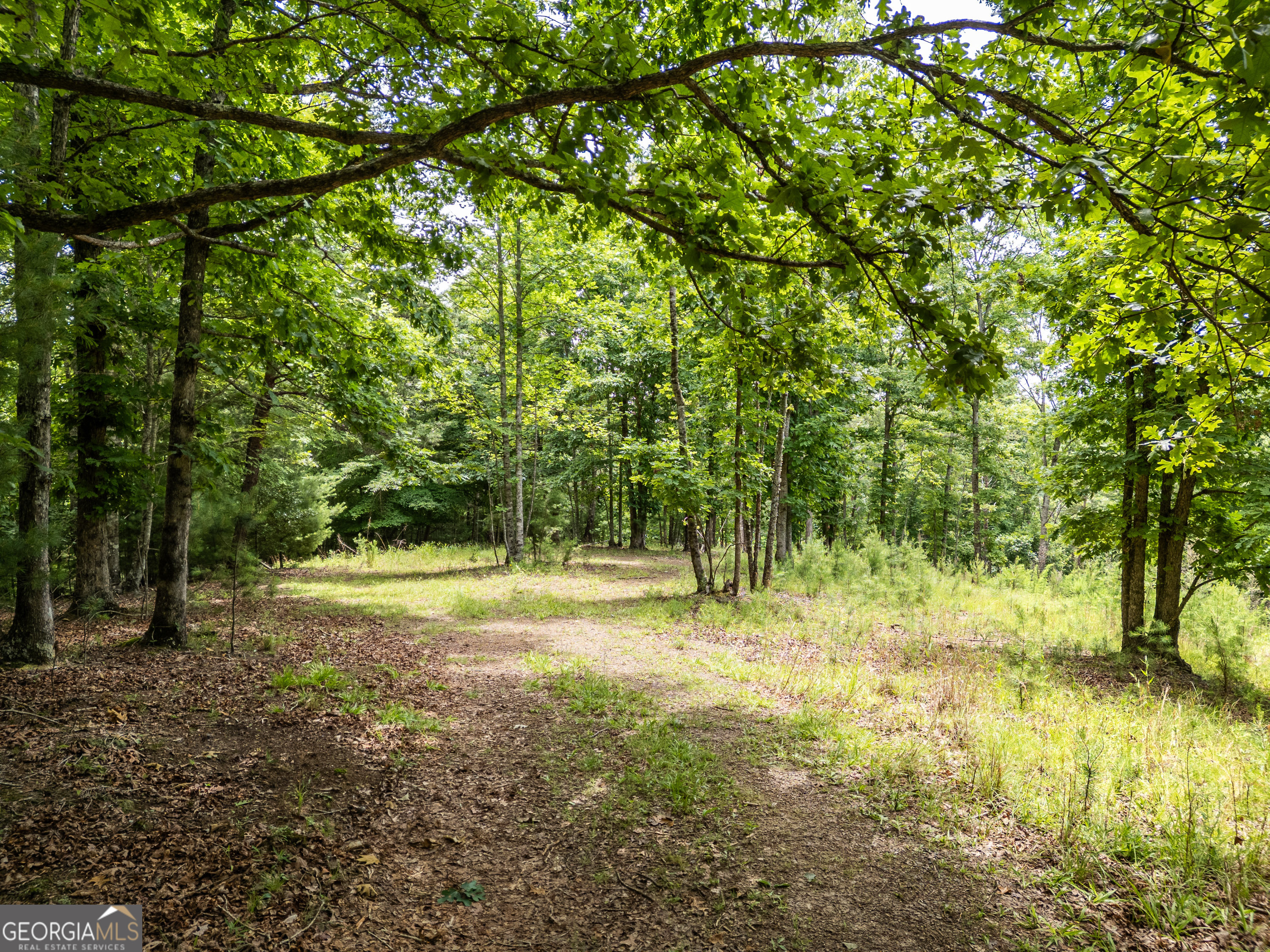 Lt 2 Stormy Ridge Brasstown NC 28902