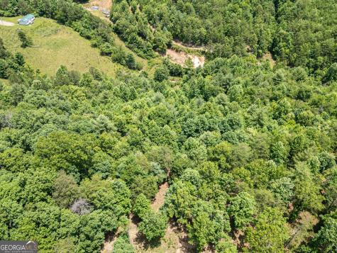 Lt 2 Stormy Ridge Brasstown NC 28902