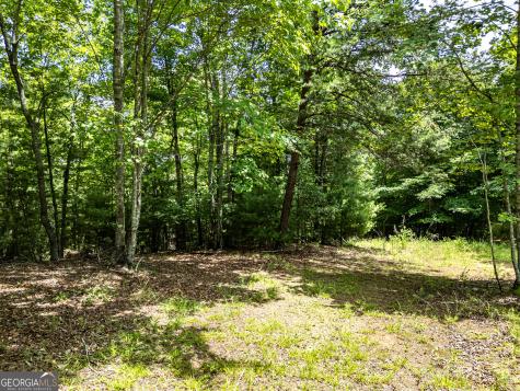 Lt 2 Stormy Ridge Brasstown NC 28902