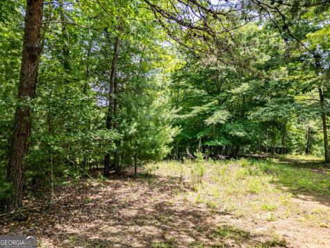 Lt 2 Stormy Ridge Brasstown NC 28902