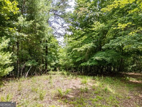Lt 2 Stormy Ridge Brasstown NC 28902