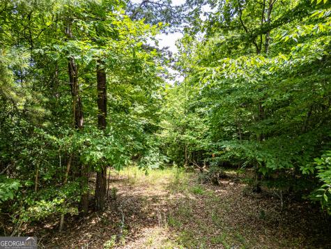 Lt 2 Stormy Ridge Brasstown NC 28902