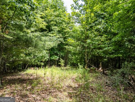 Lt 2 Stormy Ridge Brasstown NC 28902