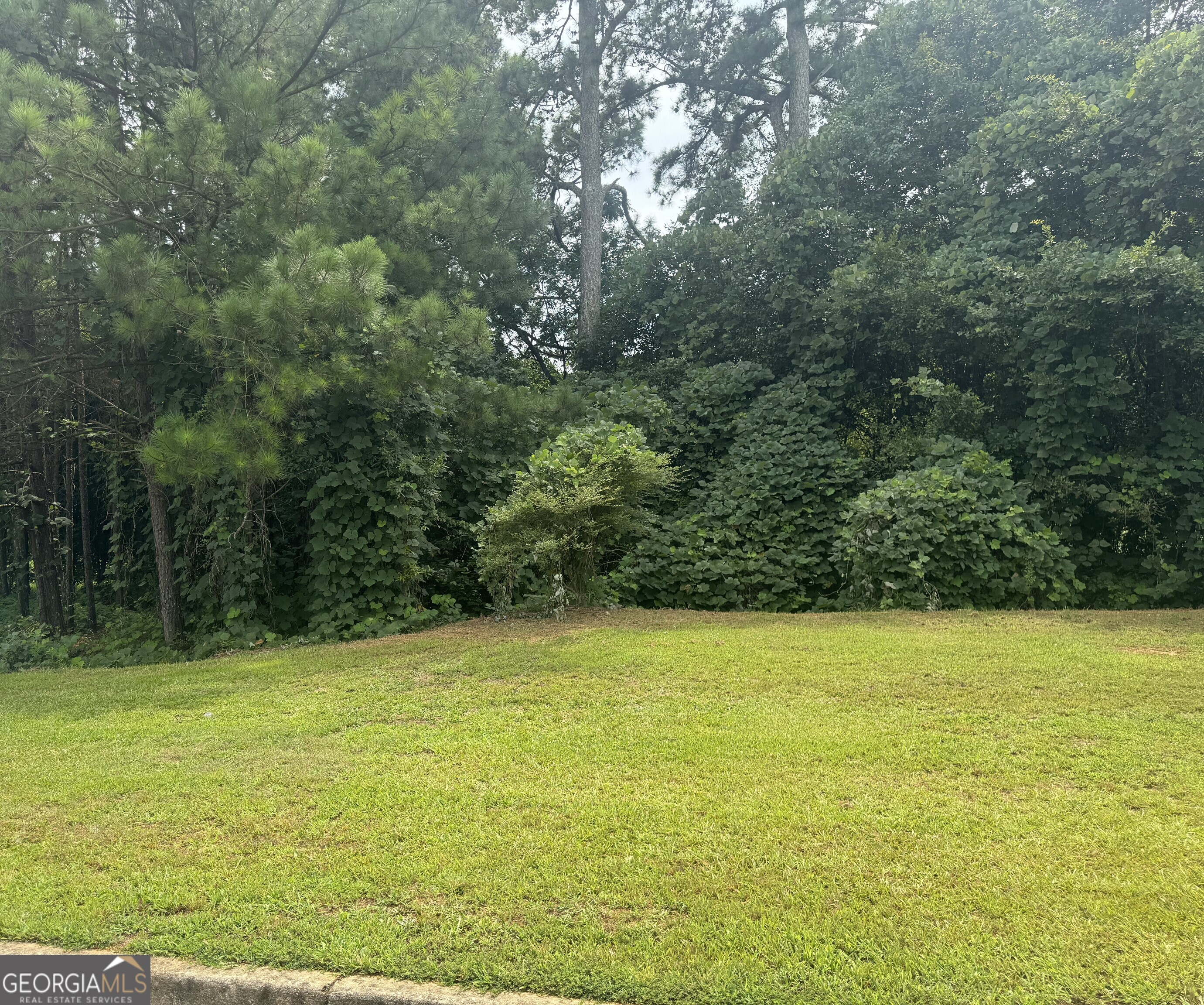 500 Mccain Creek Trail Stockbridge GA 30281