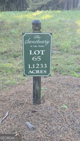Lot 65 Brook Green Court Blairsville GA 30512