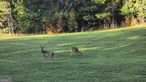 Lot 65 Brook Green Court Blairsville GA 30512