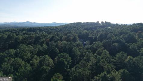 Lot 65 Brook Green Court Blairsville GA 30512