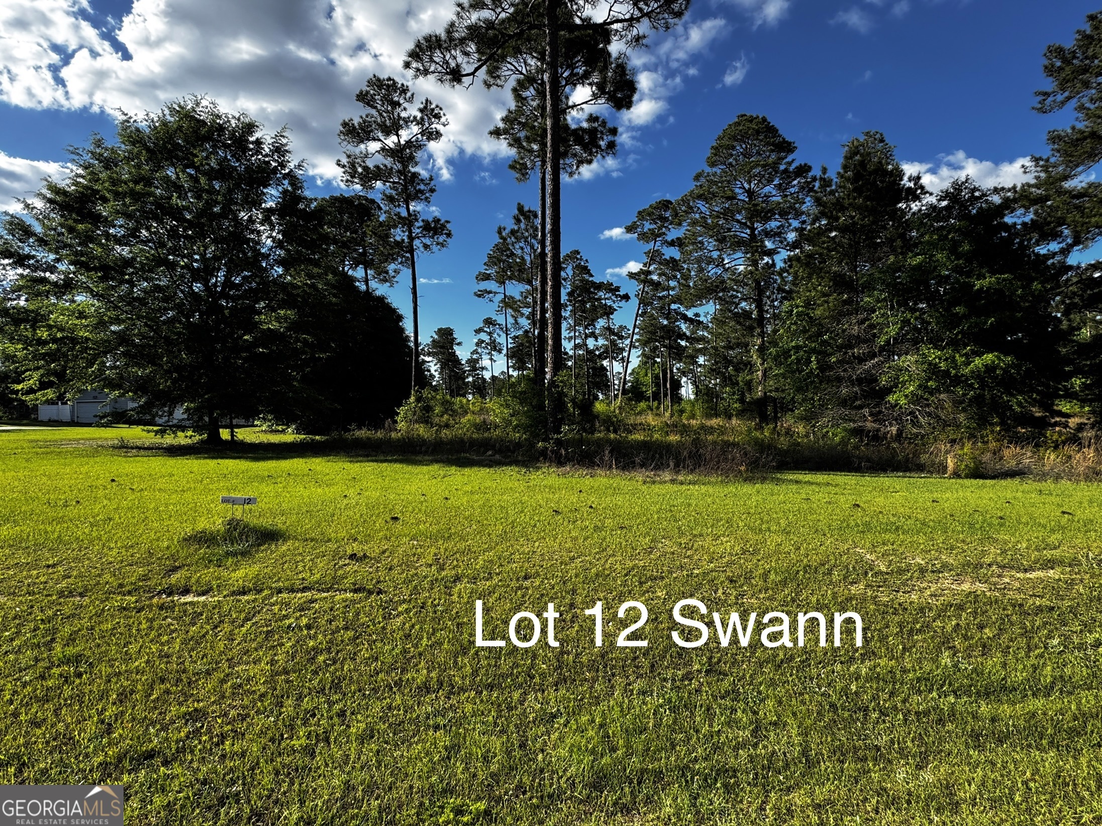 0 Swann Drive Lot 12 Block B Cordele GA 31015