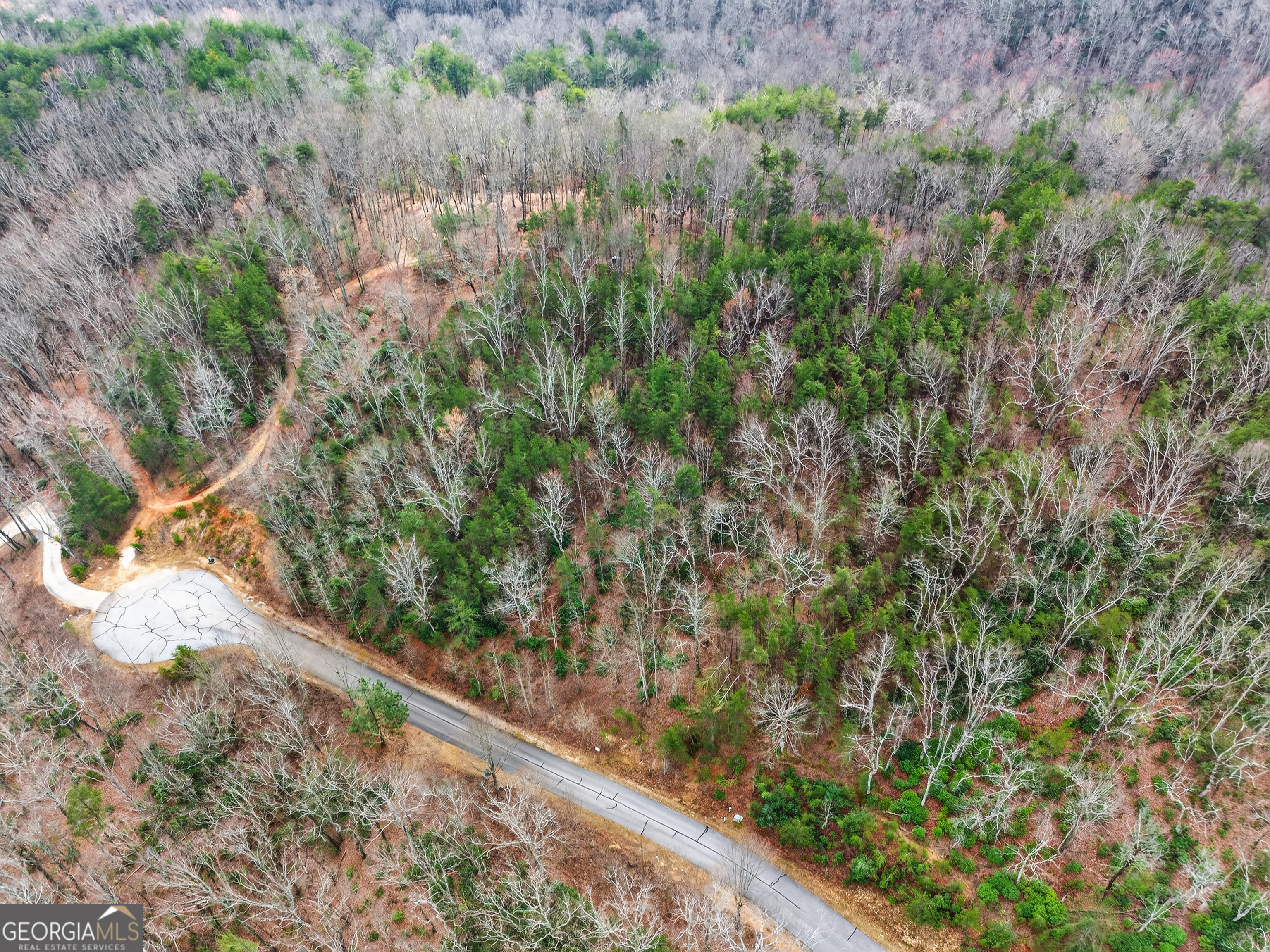 252 S Laceola Road Cleveland GA 30528