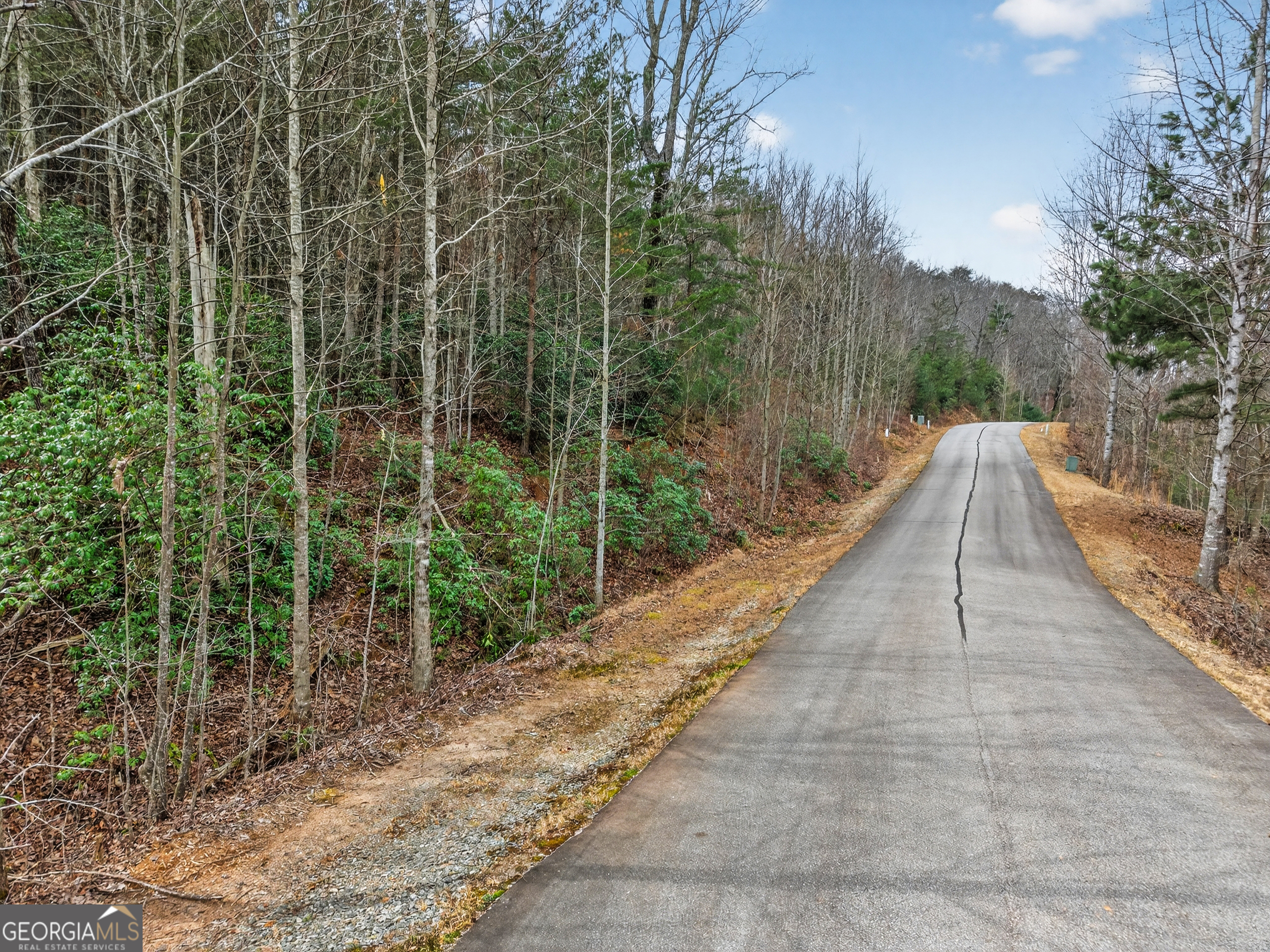 252 S Laceola Road Cleveland GA 30528