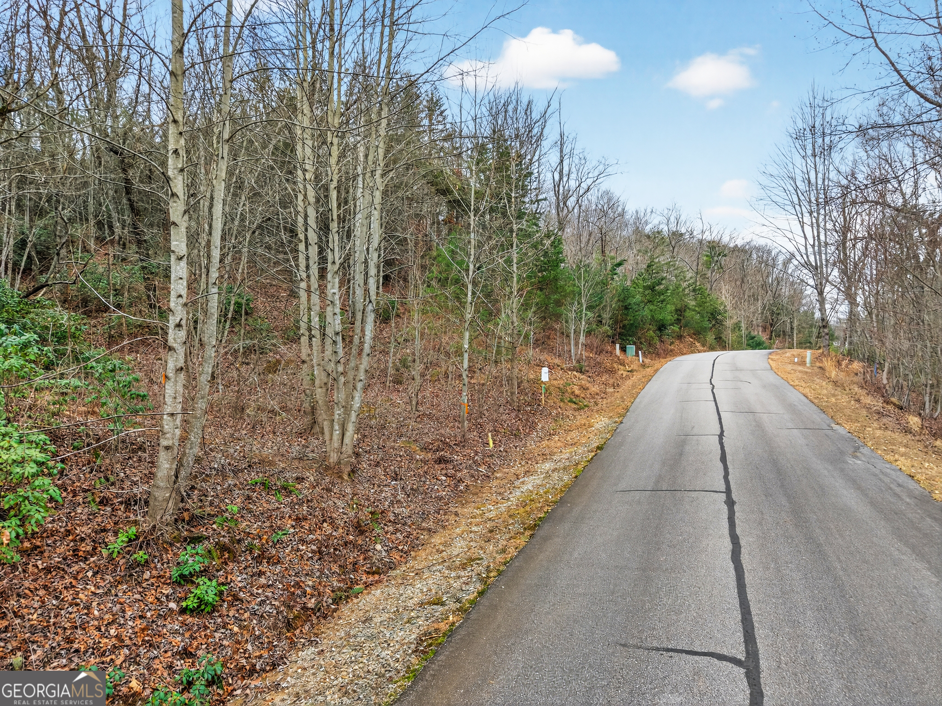 252 S Laceola Road Cleveland GA 30528