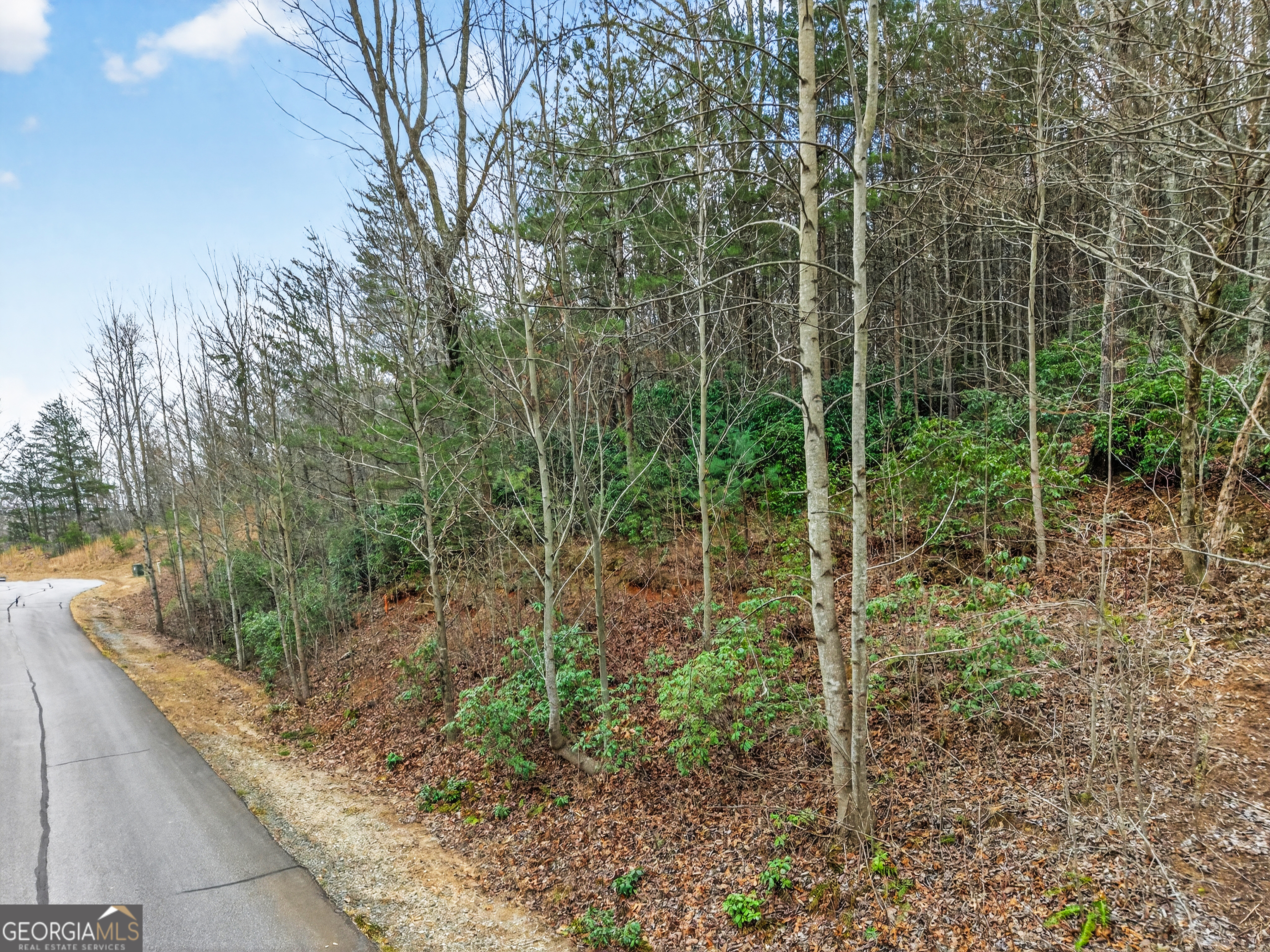 252 S Laceola Road Cleveland GA 30528