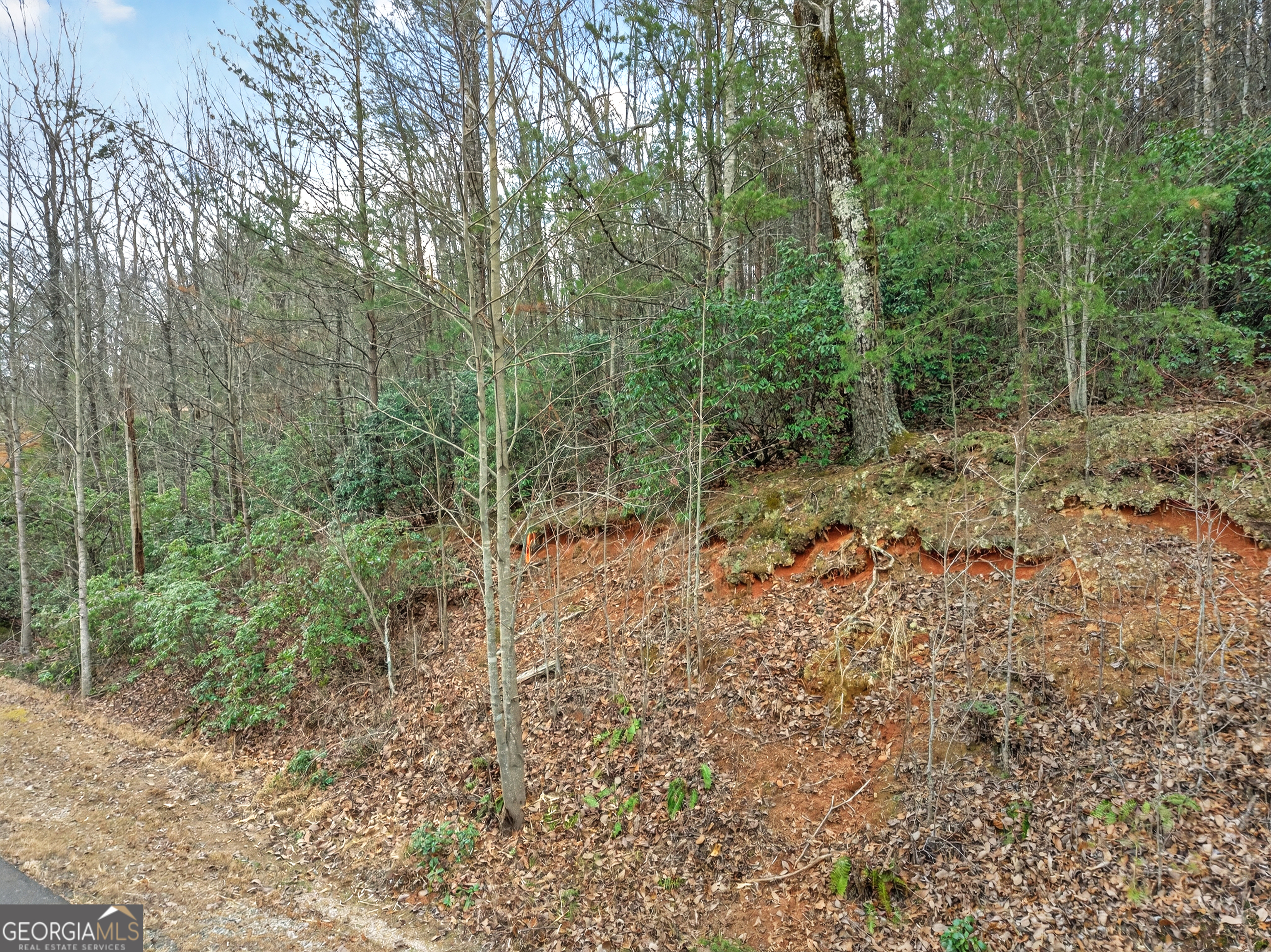 252 S Laceola Road Cleveland GA 30528