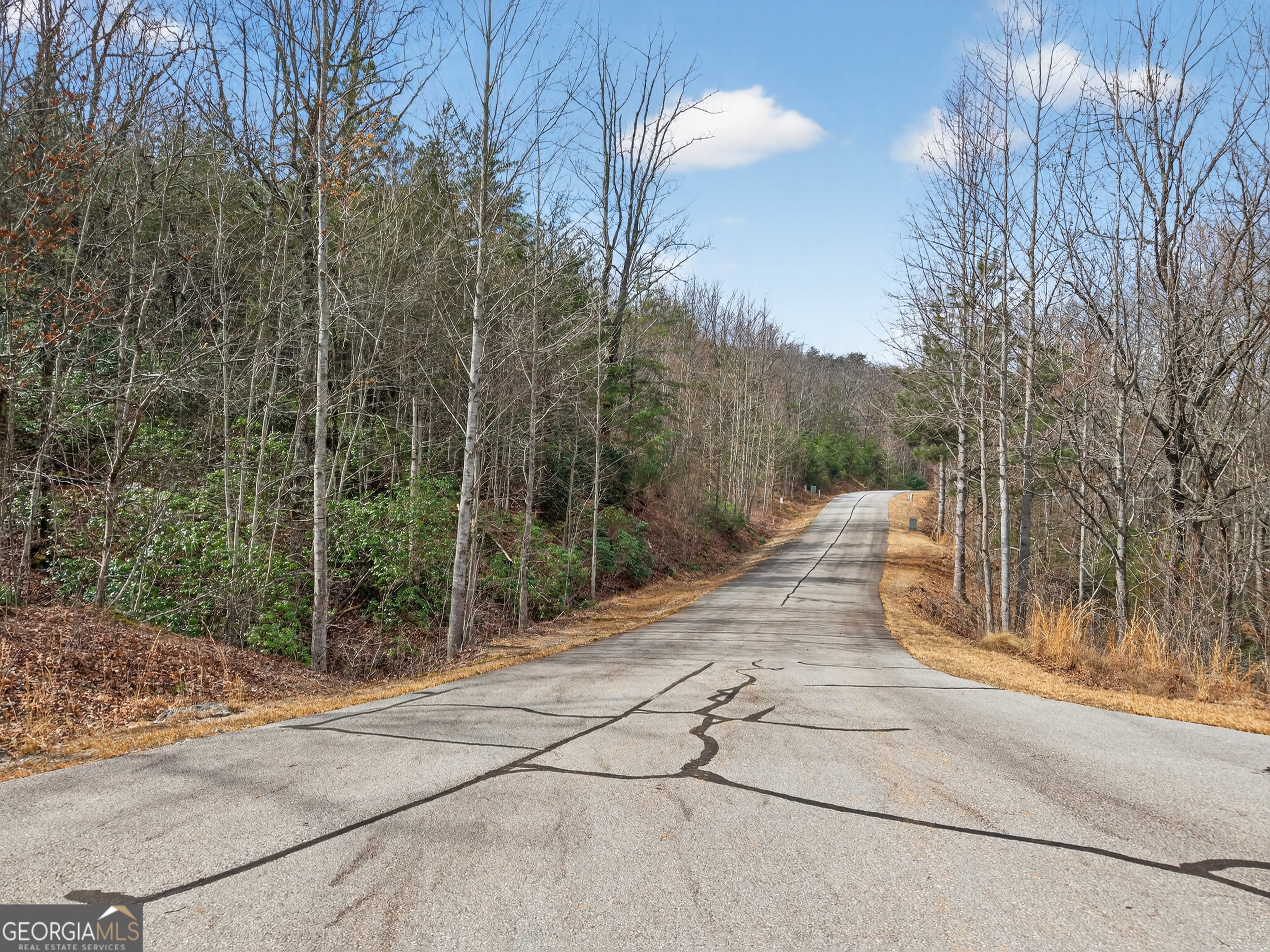 252 S Laceola Road Cleveland GA 30528