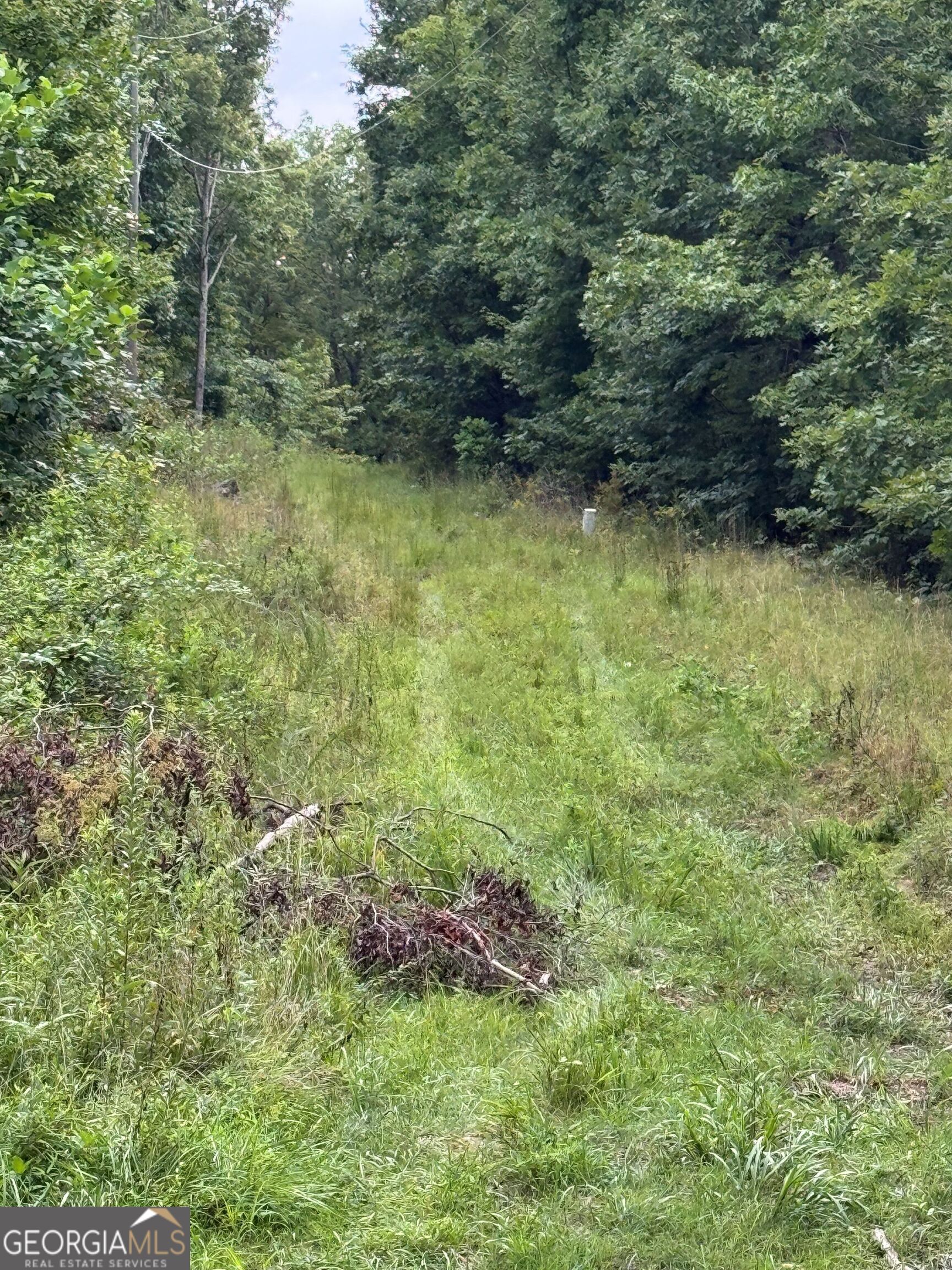 0 Tatum Gulf Road Menlo GA 30731