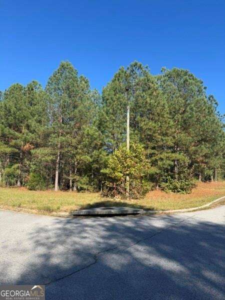 4020 Gold Springs Pass Villa Rica GA 30180