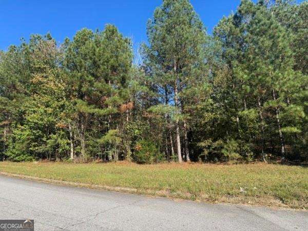 4020 Gold Springs Pass Villa Rica GA 30180