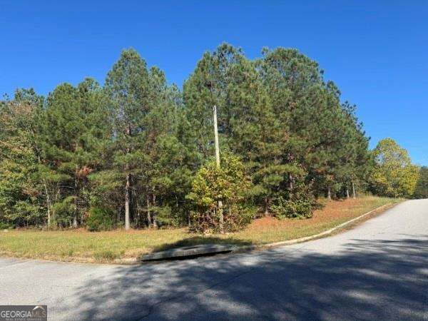 4020 Gold Springs Pass Villa Rica GA 30180