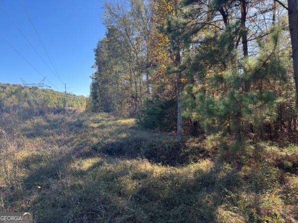 4020 Gold Springs Pass Villa Rica GA 30180