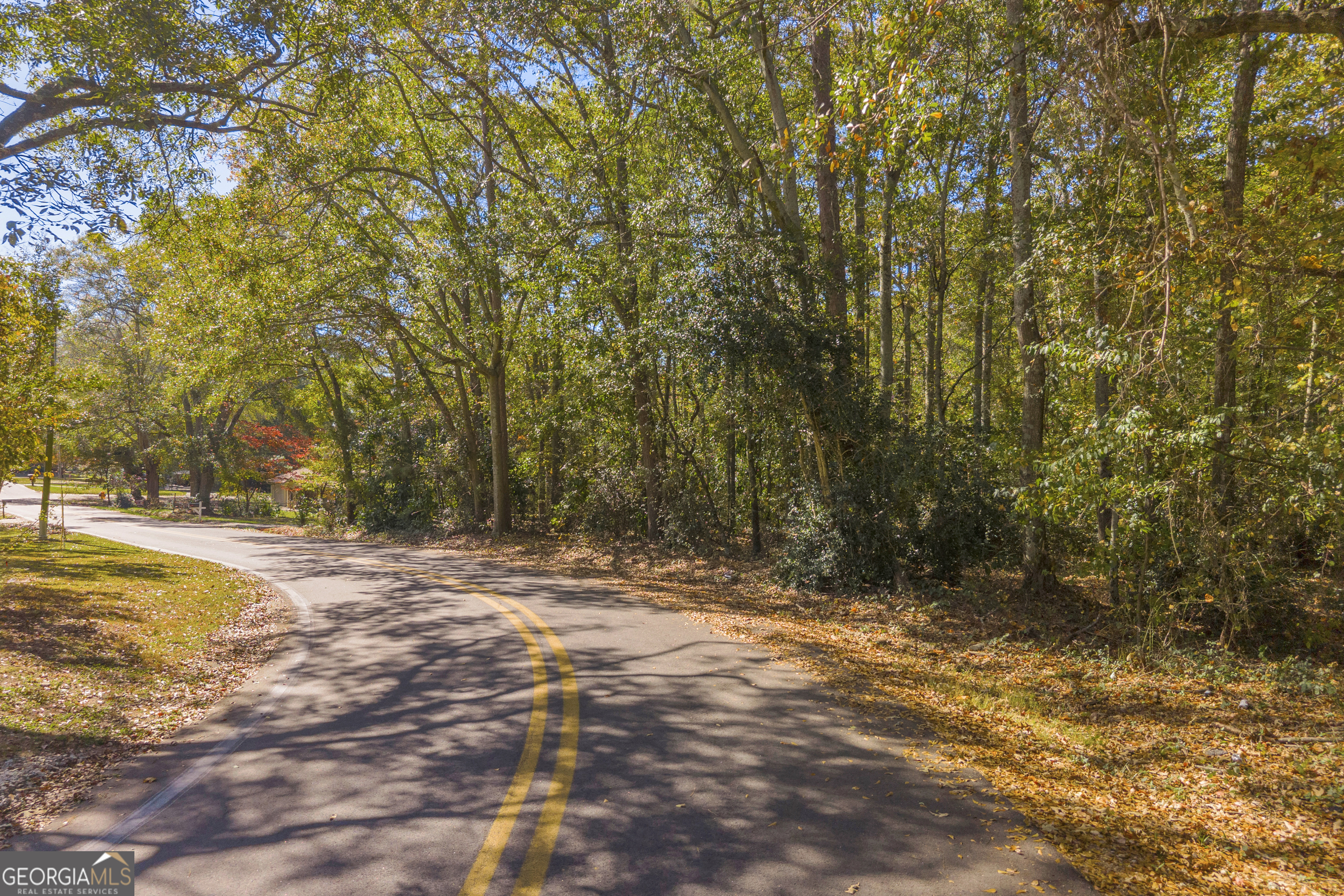 0 Locust Street Hartwell GA 30643