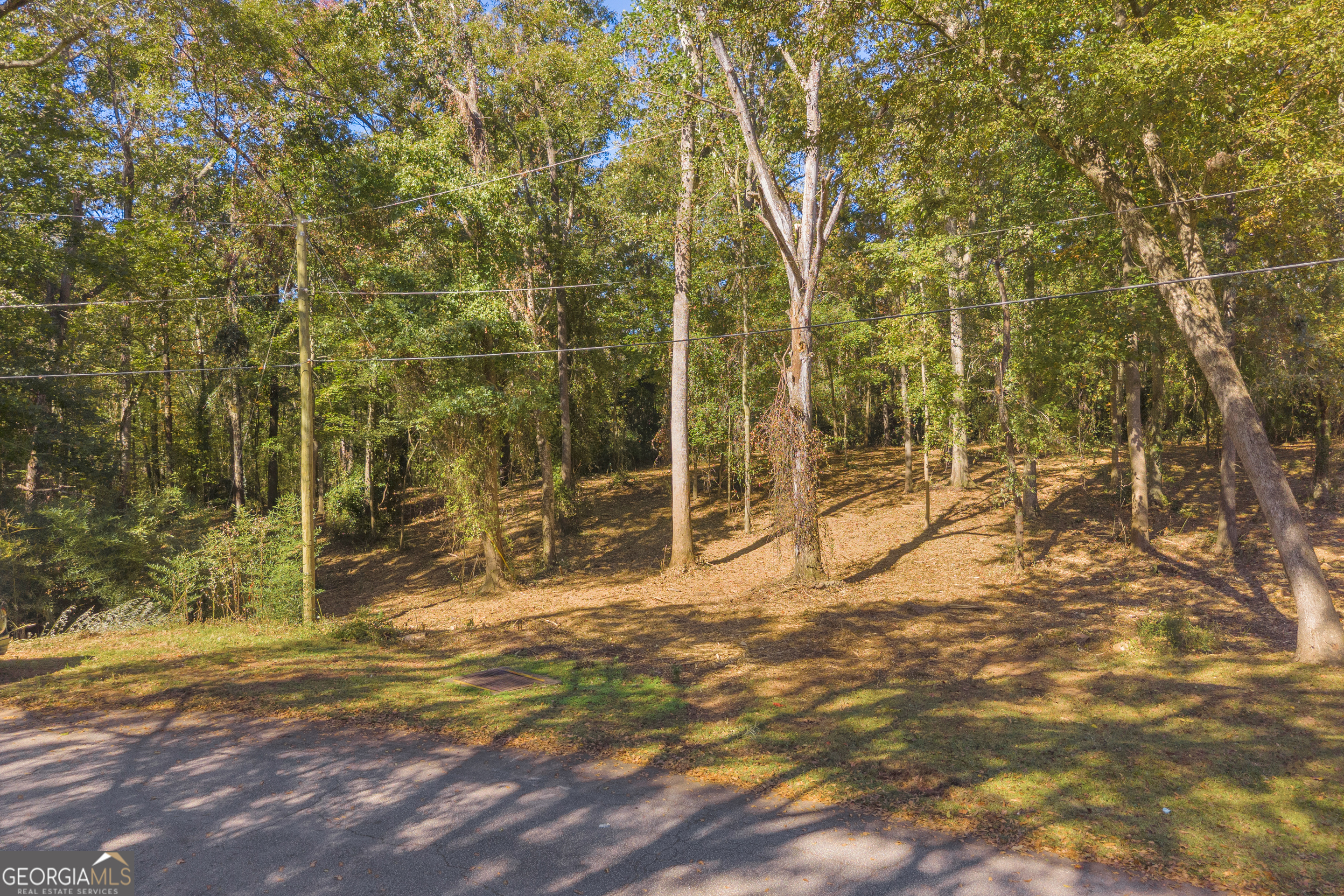 0 Locust Street Hartwell GA 30643