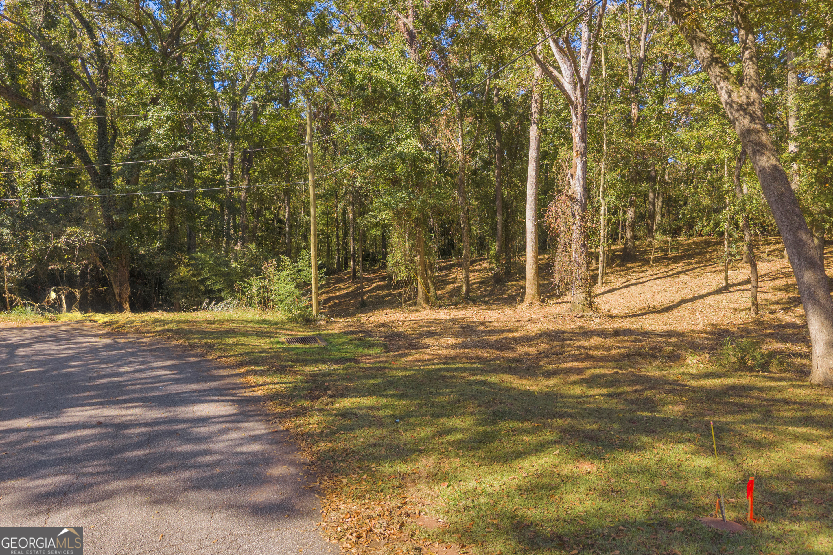 0 Locust Street Hartwell GA 30643