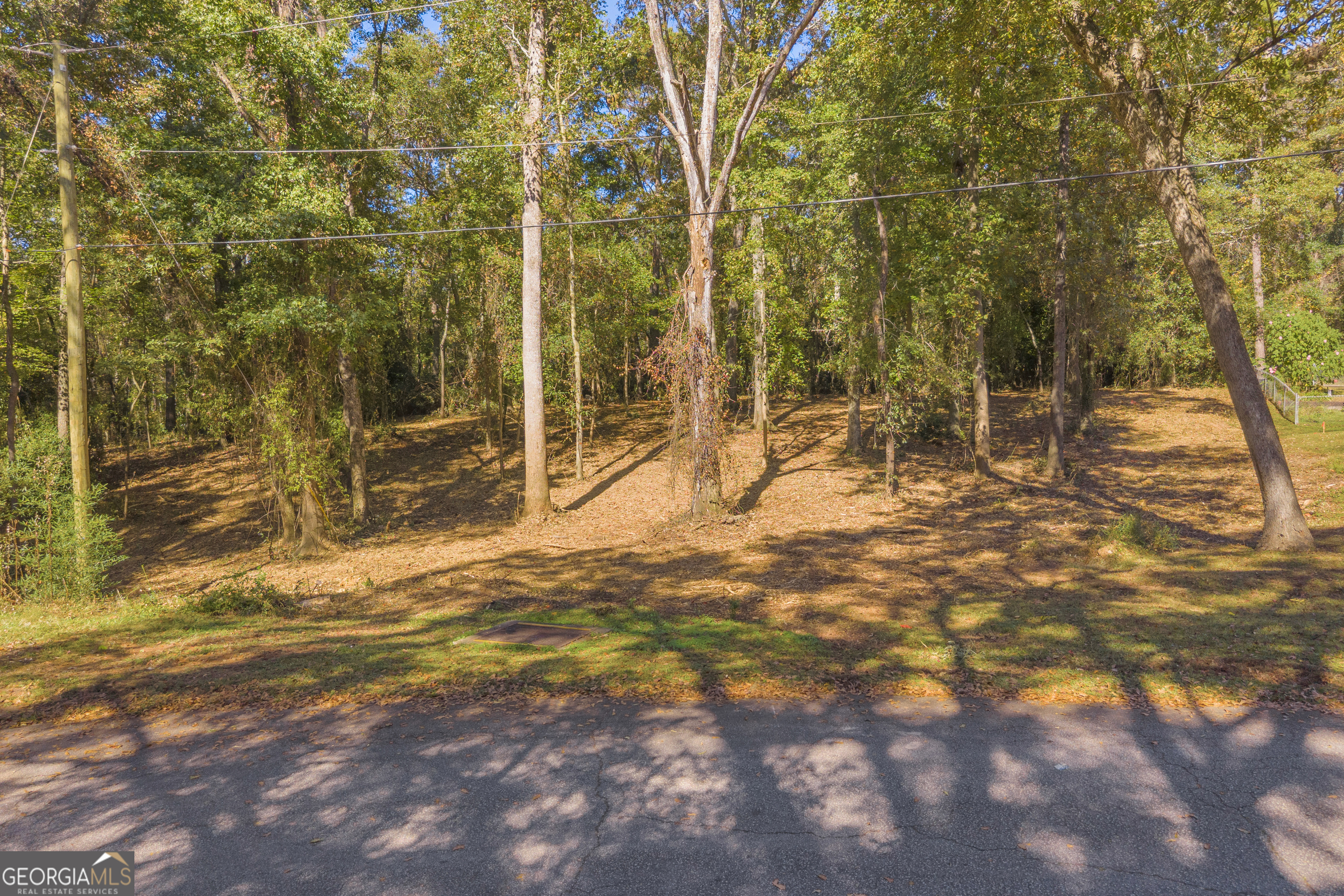 0 Locust Street Hartwell GA 30643