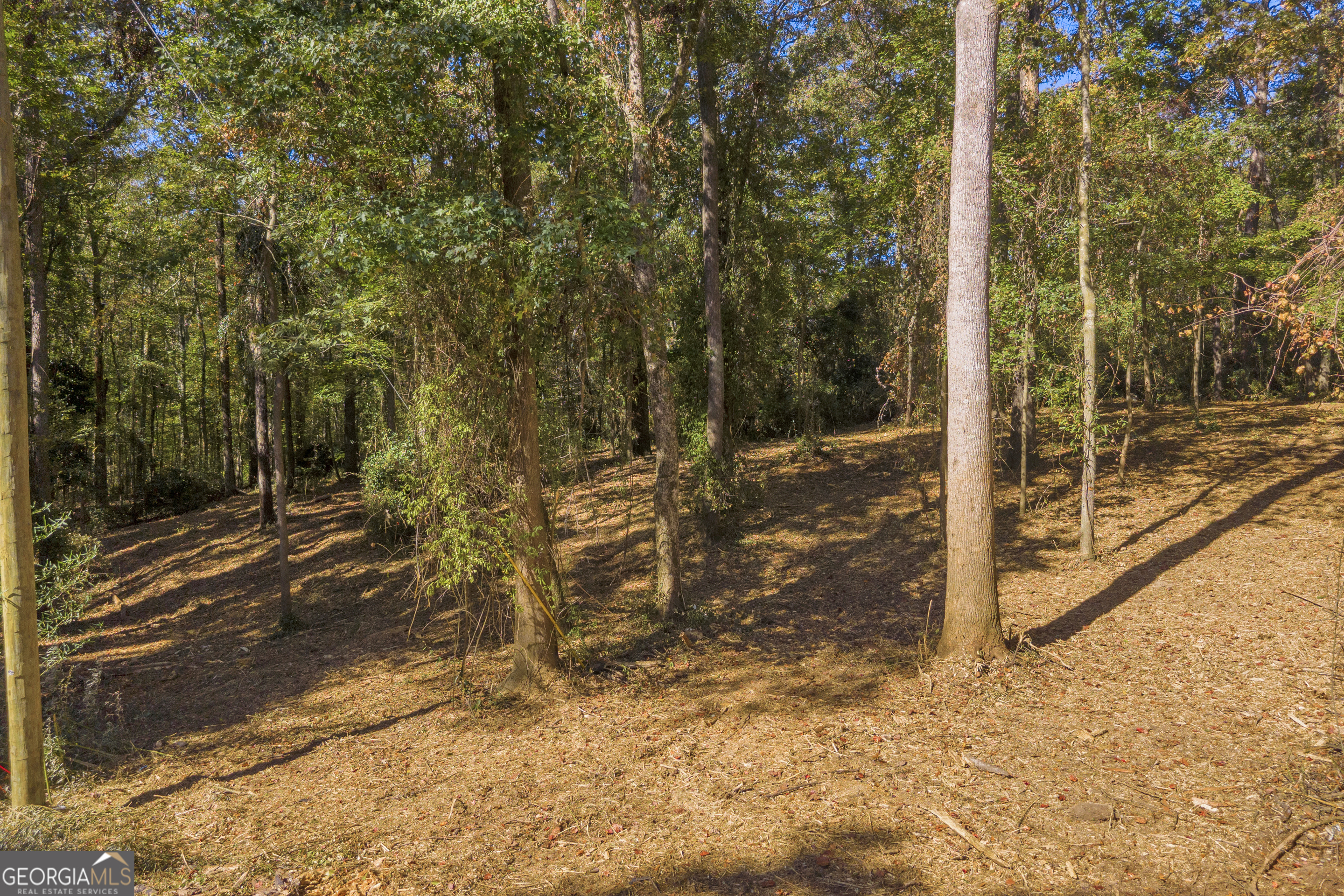 0 Locust Street Hartwell GA 30643