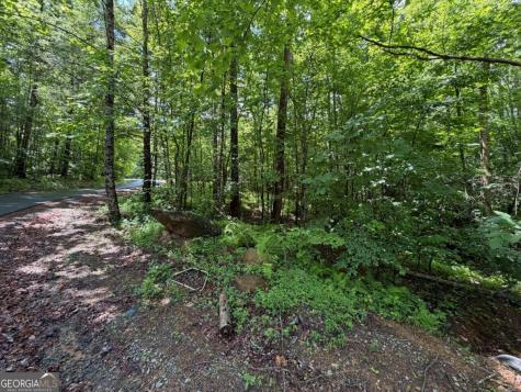 2.75AC Quail Ridge Road Epworth GA 30541